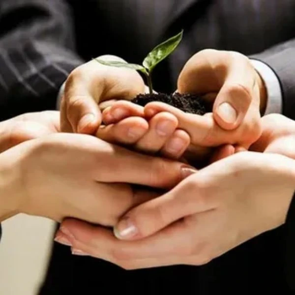 Debt recovery agency for friendly settlements