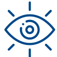 vision